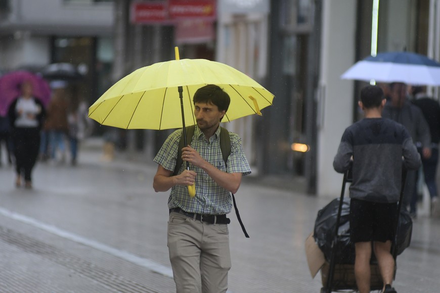 Imagen ilustrativa. Crédito: Guillermo Di Salvatore