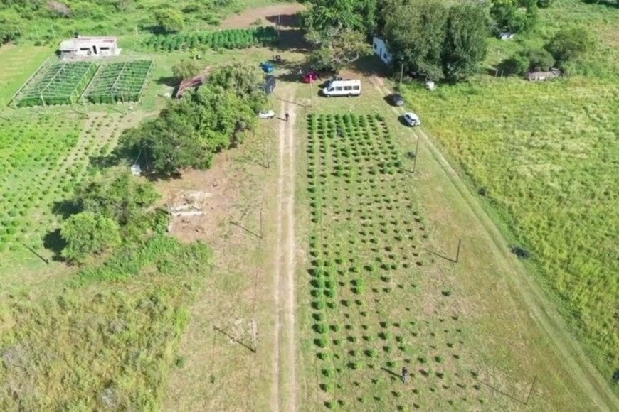 El abogado detenido por el vivero narco de Arroyo Leyes pidió una notebook para estudiar el expediente