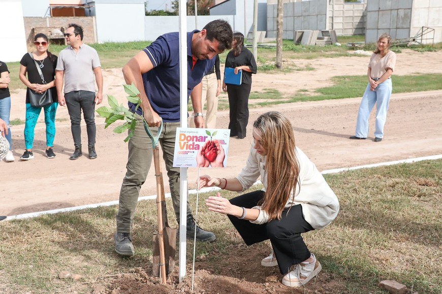 La plantación de los 1.300 árboles se extenderá durante todo mayo en distintas localidades de la provincia, con la participación de municipios, comunas, escuelas y organizaciones sociales.