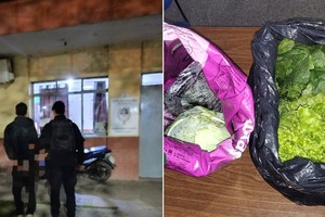 El hombre transportaba dos bolsas de consorcio cargadas con verduras frescas.