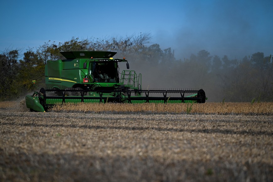 Soybeans are harvested from a field in San Andres de Giles, on the outskirts of Buenos Aires, Argentina, May 12, 2025. REUTERS/Martin Cossarini