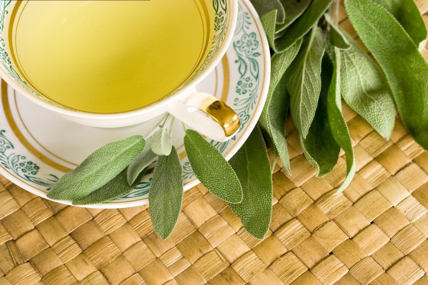 El poder de la naturaleza al servicio de la memoria.