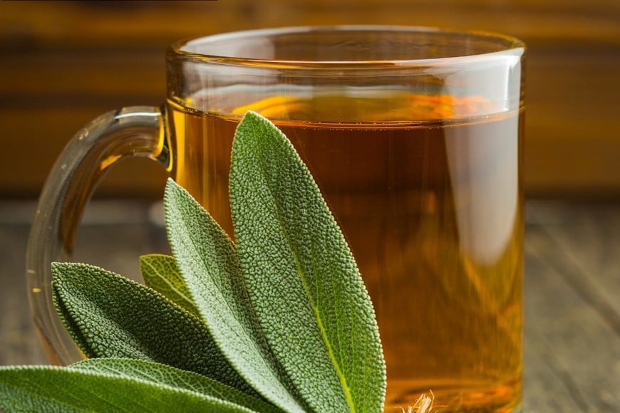 Una planta con poderosas ventajas para el bienestar cerebral.