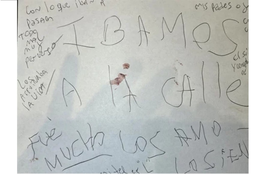 Masacre Villa Crespo: investigan si la familia rechazó internar a Leguizamón tras el pedido del psiquiatra - Image 2