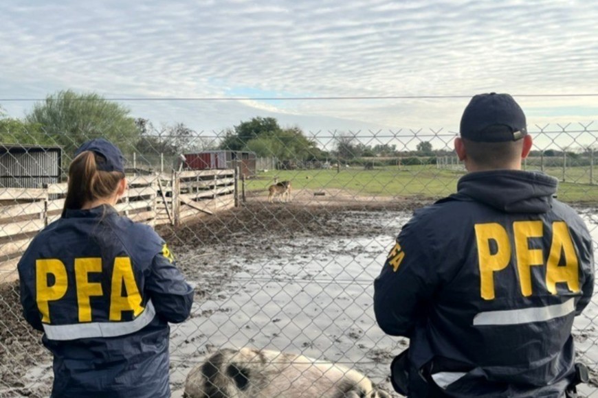 La PFA encabezó el operativo