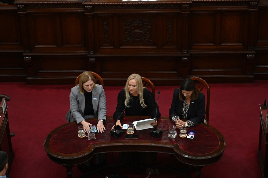 Junto a Scaglia y García, Vranicich brindó su informe en mayo. Foto: El Litoral