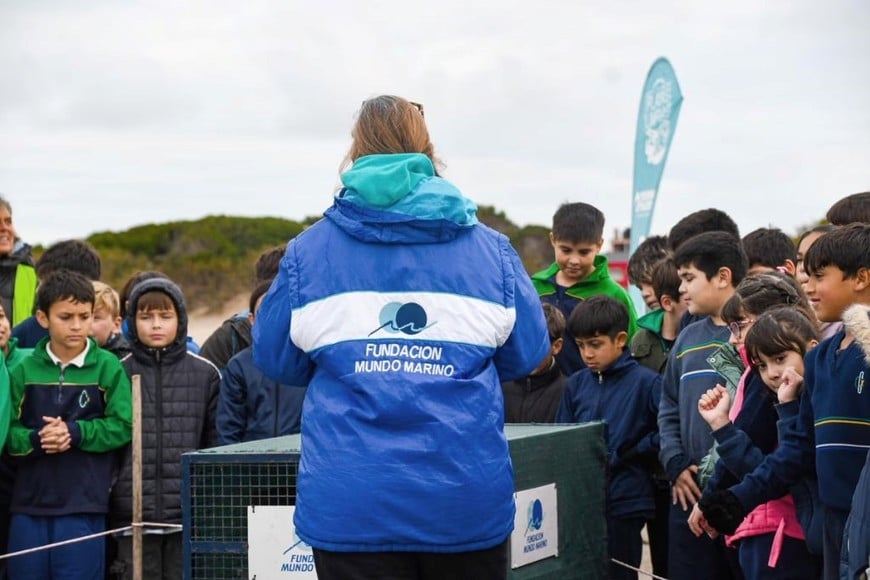 Alumnos acompañaron la liberación y aprendieron sobre conservación.