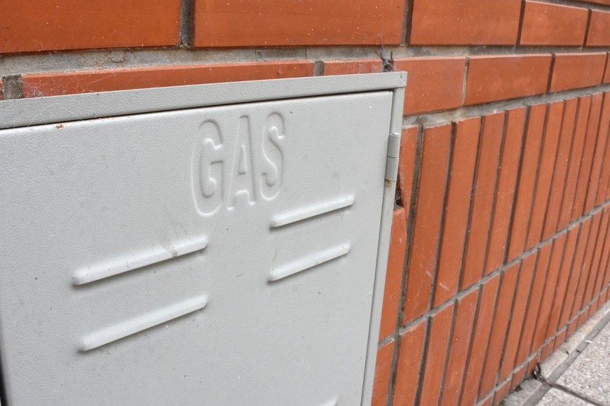 Crédito: Guillermo Di Salvatore