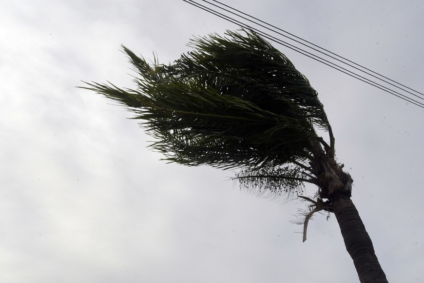 Cómo sigue el tiempo en Santa Fe tras la lluvia: el pronóstico para los próximos días - Image 3