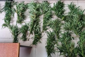 Crédito: El Litoral