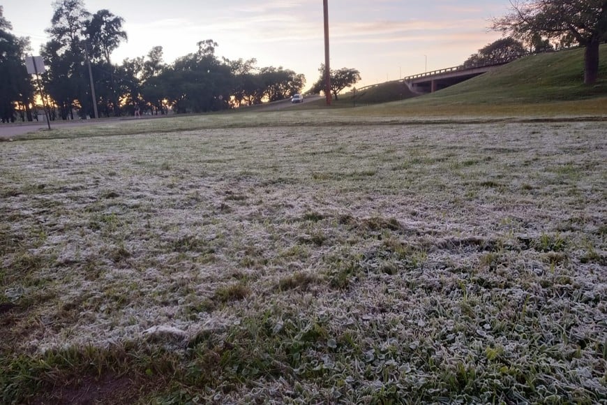 El frío pinto de blanco el pasto en zonas de la capital santafesina. Crédito: El Litoral