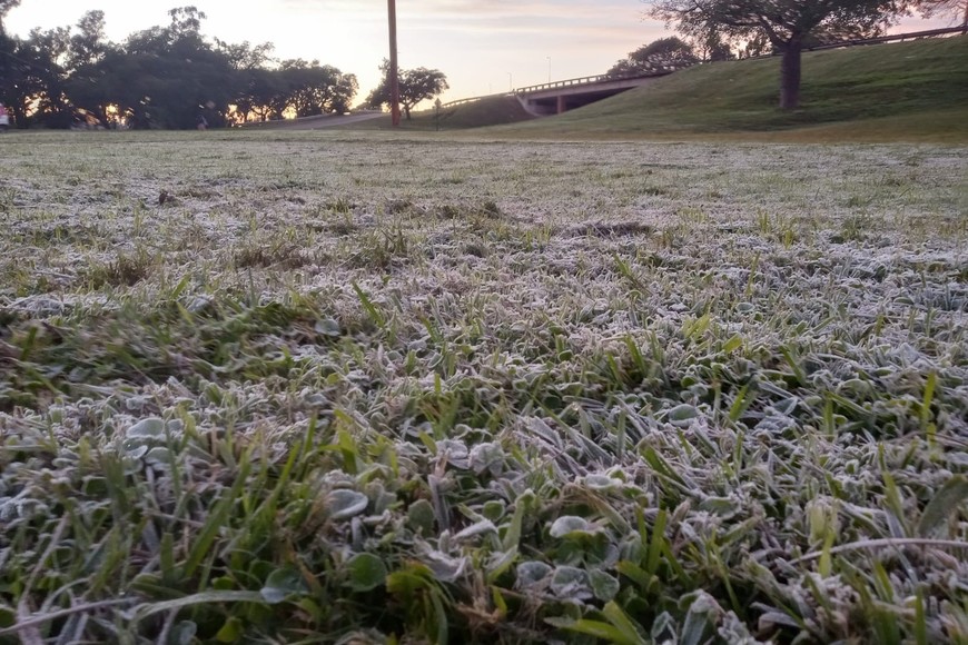 El frío pinto de blanco el pasto en zonas de la capital santafesina. Crédito: El Litoral