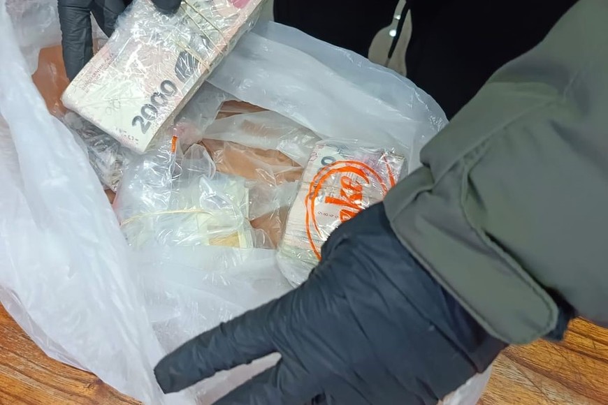 Parte de los estupefacientes incautados en los allanamientos.