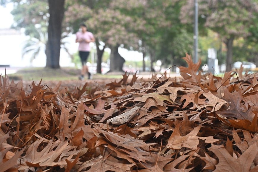 El otoño entra en su último mes con temperaturas cercanas al 0°. Foto: Guillermo Di Salvatore.