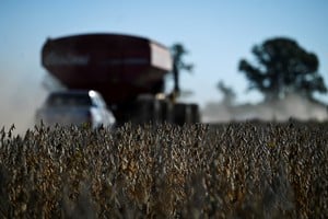 La campaña agrícola 2025/2026 arranca con alto potencial, pero bajo un escenario climático desafiante. Credito: REUTERS/Martin Cossarini