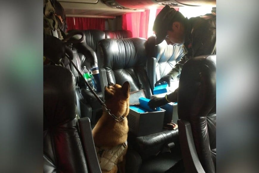 Condenaron a una pareja de extranjeros y comunicaron el fallo al consulado y migraciones