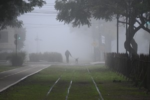 Casi imposible ver en Santa Fe. Crédito: Flavio Raina