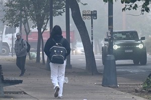La niebla cubrió gran parte de la provincia de Santa Fe, complicando la transitabilidad en sus calles y rutas, limitando la actividad de la mañana de este miércoles