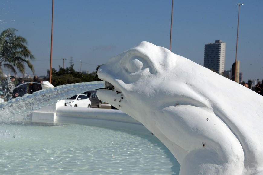 Guillermo Di Salvatore