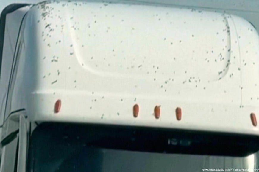 El chofer permaneció en la cabina hasta que fue rescatado.