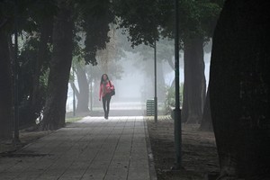 Regresó la niebla a la capital santafesina. Crédito: Flavio Raina