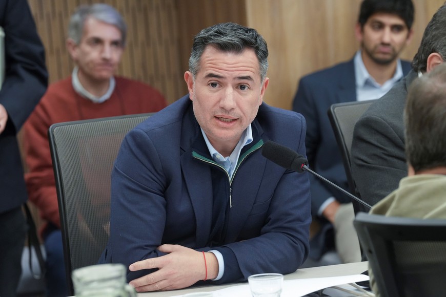 No hubo acuerdo en la elección de la presidencia de la comisión entre la diputada Sabrina Selva (Unión por la Patria) y el diputado Gabriel Bornoroni (La Libertad Avanza). Foto: HCDN.