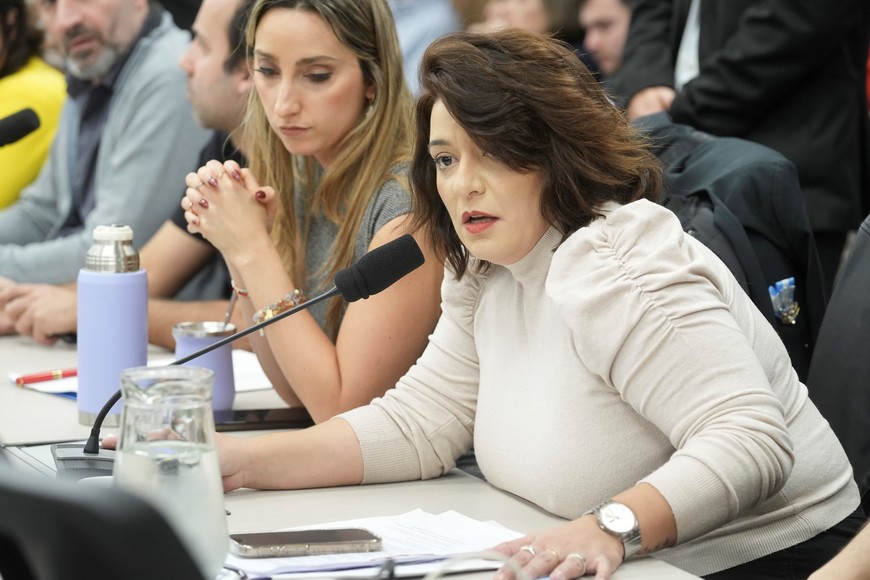 No hubo acuerdo en la elección de la presidencia de la comisión entre la diputada Sabrina Selva (Unión por la Patria) y el diputado Gabriel Bornoroni (La Libertad Avanza). Foto: HCDN.