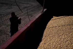 Soybeans are loaded on a truck after being harvested, in San Andres de Giles, on the outskirts of Buenos Aires, Argentina, May 12, 2025. REUTERS/Martin Cossarini