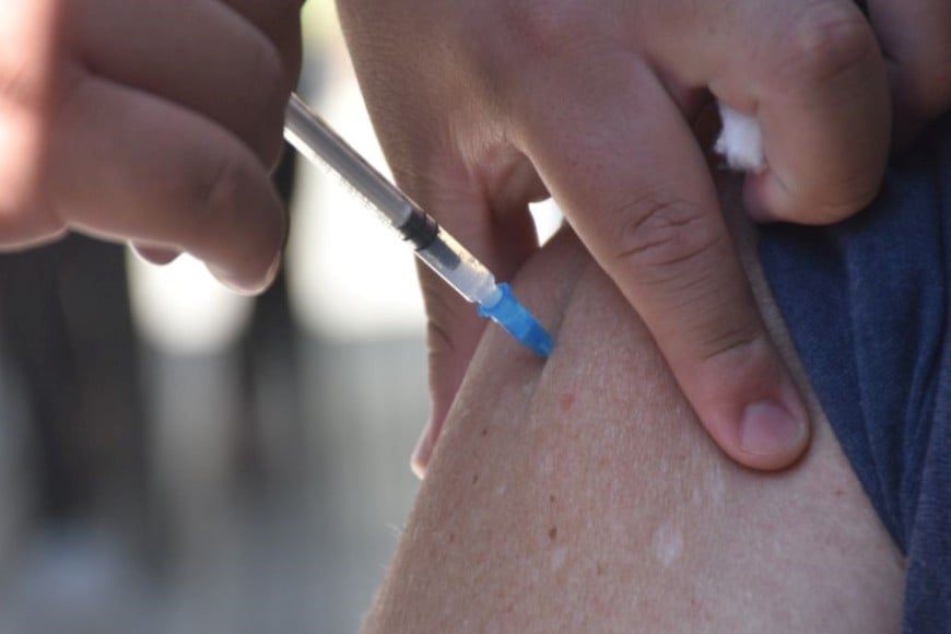 "El camino de la salud es el más rápido para que la ciencia llegue a la población. Alcanza con recordar toda la investigación que precede a una vacuna". Foto: Flavio Raina