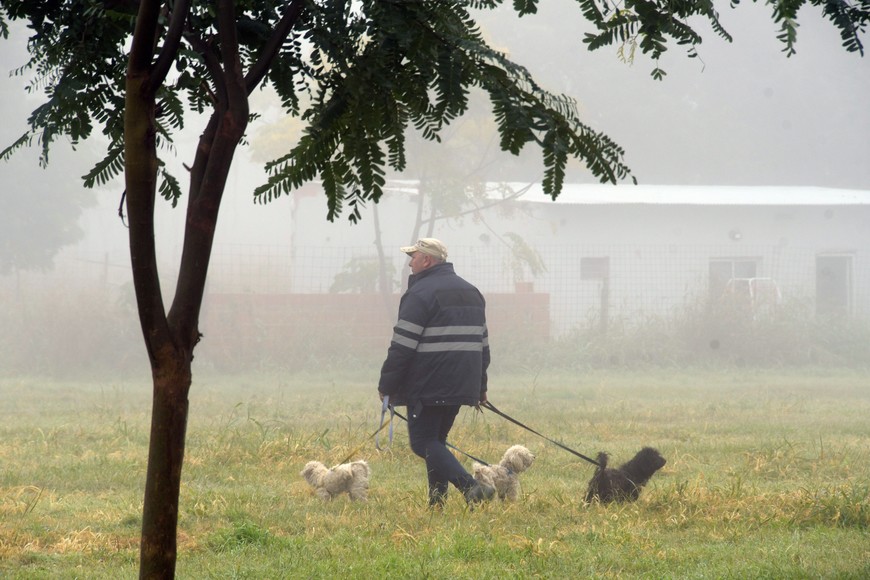 Imagen ilustrativa. Crédito: Guillermo Di Salvatore