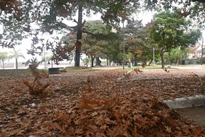 Imagen ilustrativa. Crédito: Flavio Raina