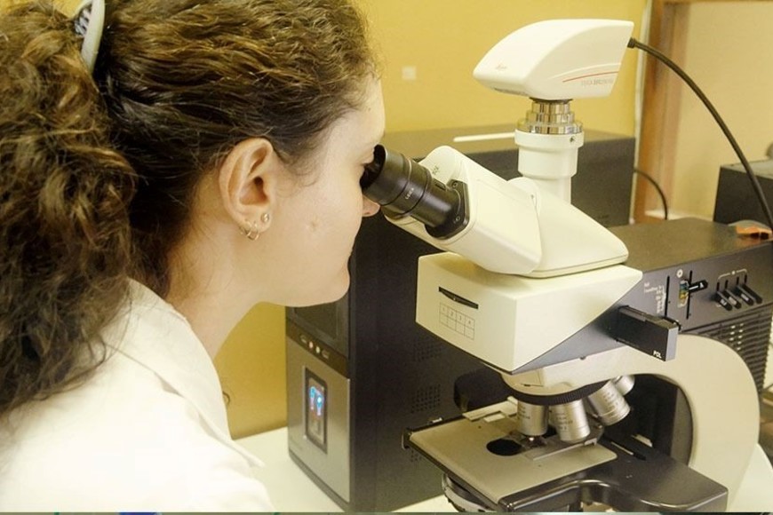 Santa Fe es la ciudad con mayor cantidad de investigadores por habitante del país. Crédito: Gentileza Conicet