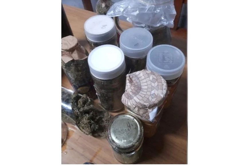 familia narco san carlos