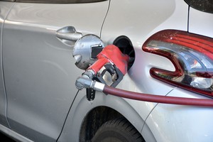 Imagen ilustrativa. Crédito: Guillermo Di Salvatore