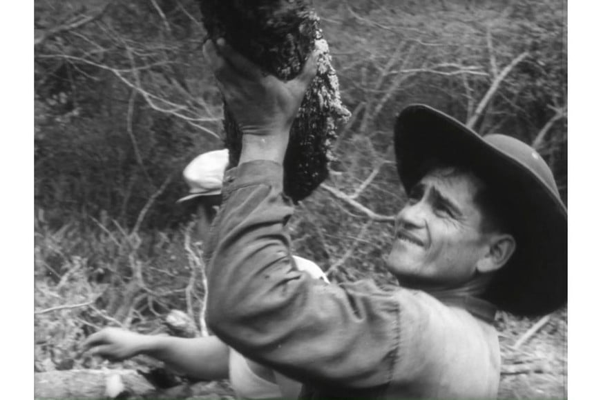 "Hachero nomás". Foto: Gentileza producción