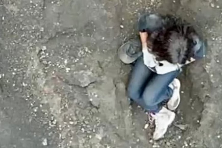 Crédito: Captura de imagen de TV Brasil EBC