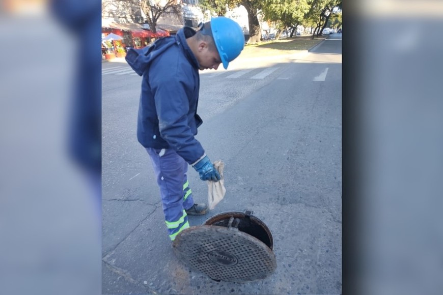 Colocan enzimas para disolver la grasa en puntos específicos de la ciudad. Crédito: Gentileza Assa