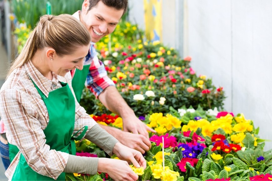 Elegir según la luz y el clima del hogar.