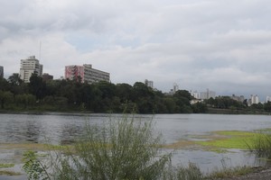 Imagen ilustrativa.  Crédito: Luis Cetraro