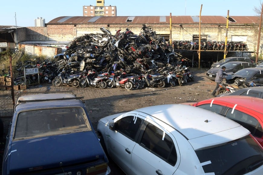 Imagen ilustrativa. Crédito: Guillermo Di Salvatore