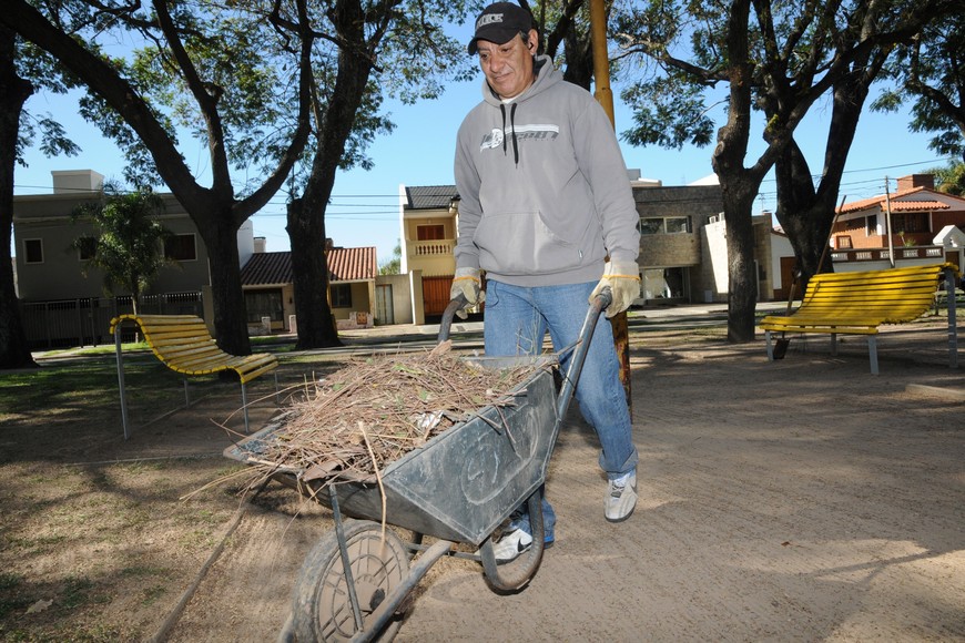 Año 2014. Un placero trabajando en Plaza Gregoria Matorras.
