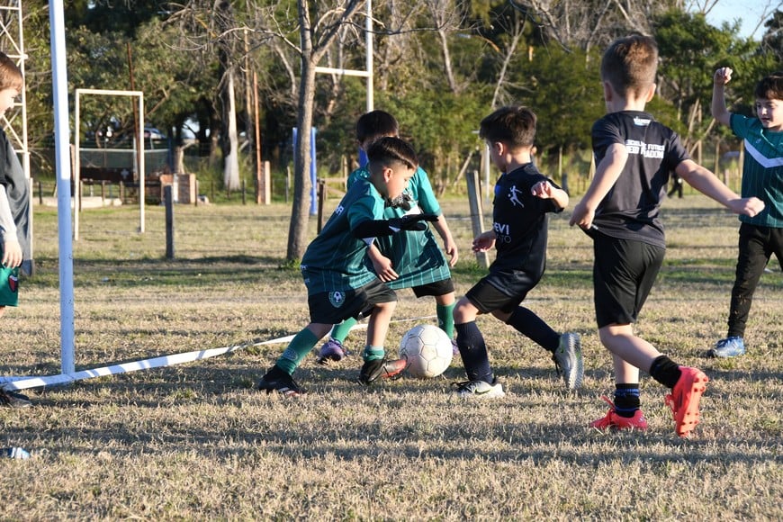 Créditos: Manuel Fabatia