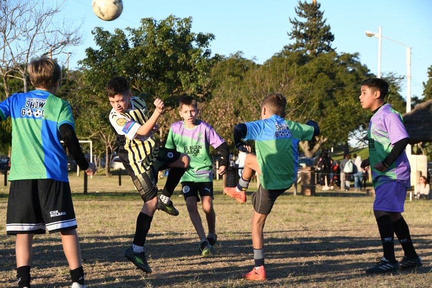 Créditos: Manuel Fabatia