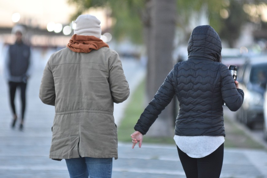 Imagen ilustrativa. Crédito: Guillermo Di Salvatore