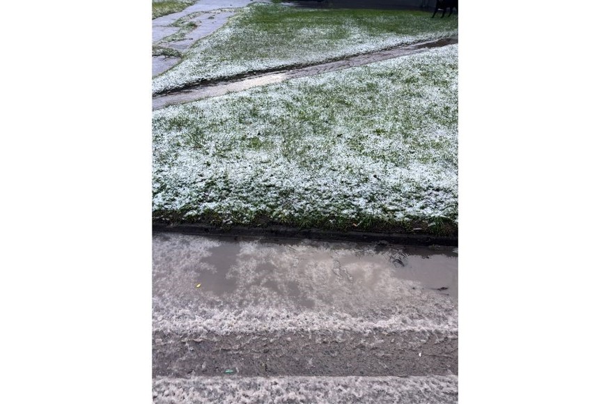 La nevada fue resultado de una combinación de elementos meteorológicos que se alinearon de manera notable