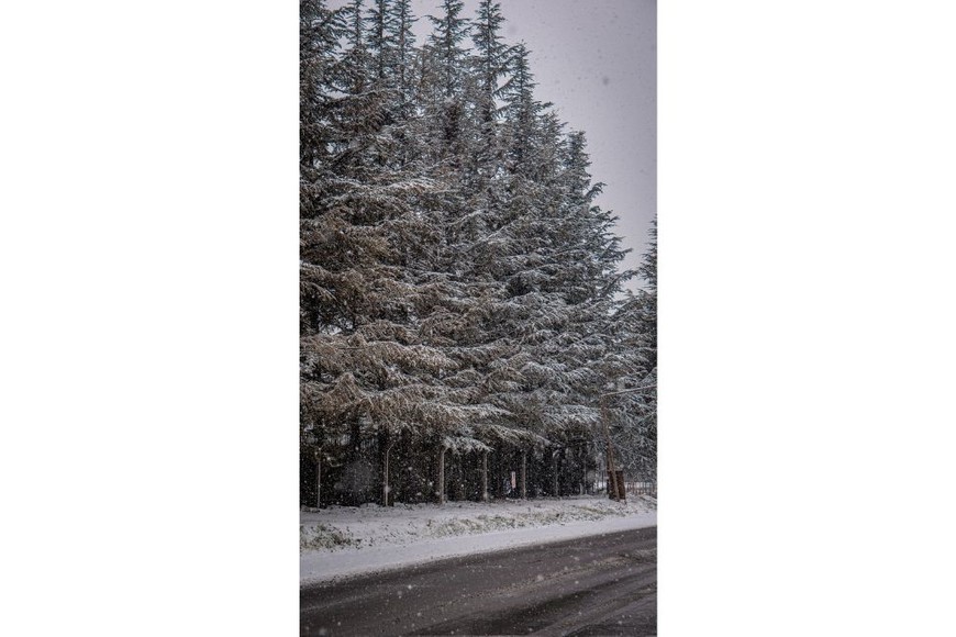 La suspensión de clases se limita oficialmente a estas cinco provincias