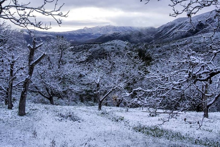 La medida apunta a evitar complicaciones en la salud