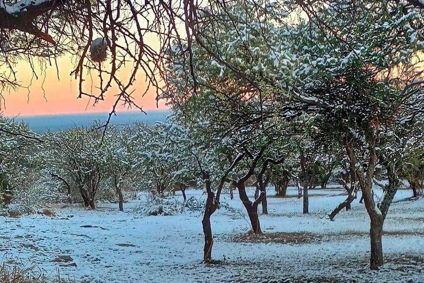 La nieve llegó a los lugares más altos de Argentina, y a otros no tanto.