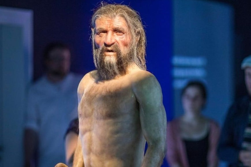 Esta réplica de "Ötzi" no es del todo correcta. El "Hombre de Hielo" tenía, en realidad, la cabeza calva y la piel oscura.