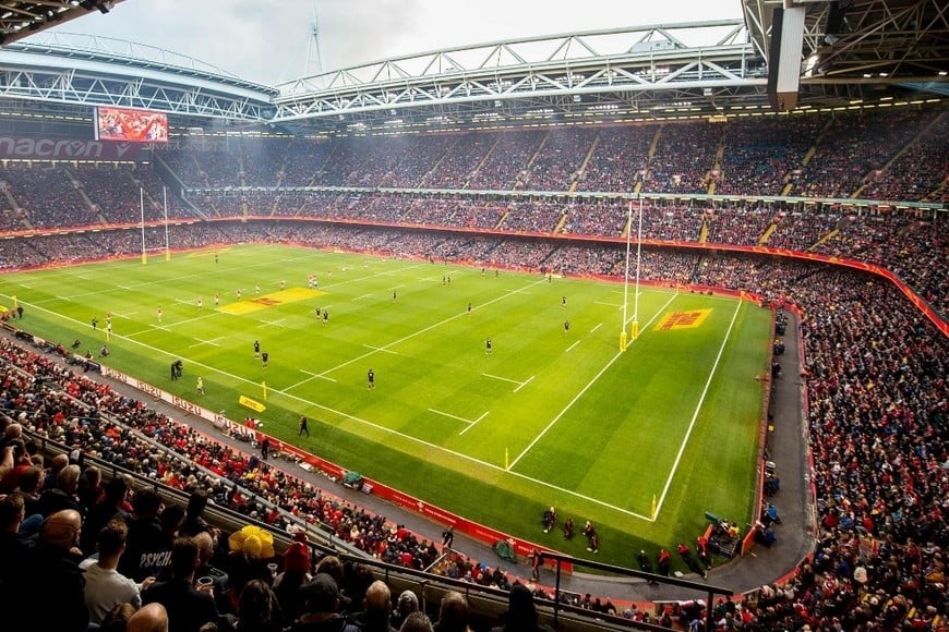 Oasis. Foto: Gentileza